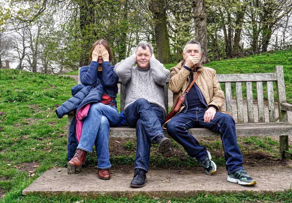 The Three Wise Monkeys